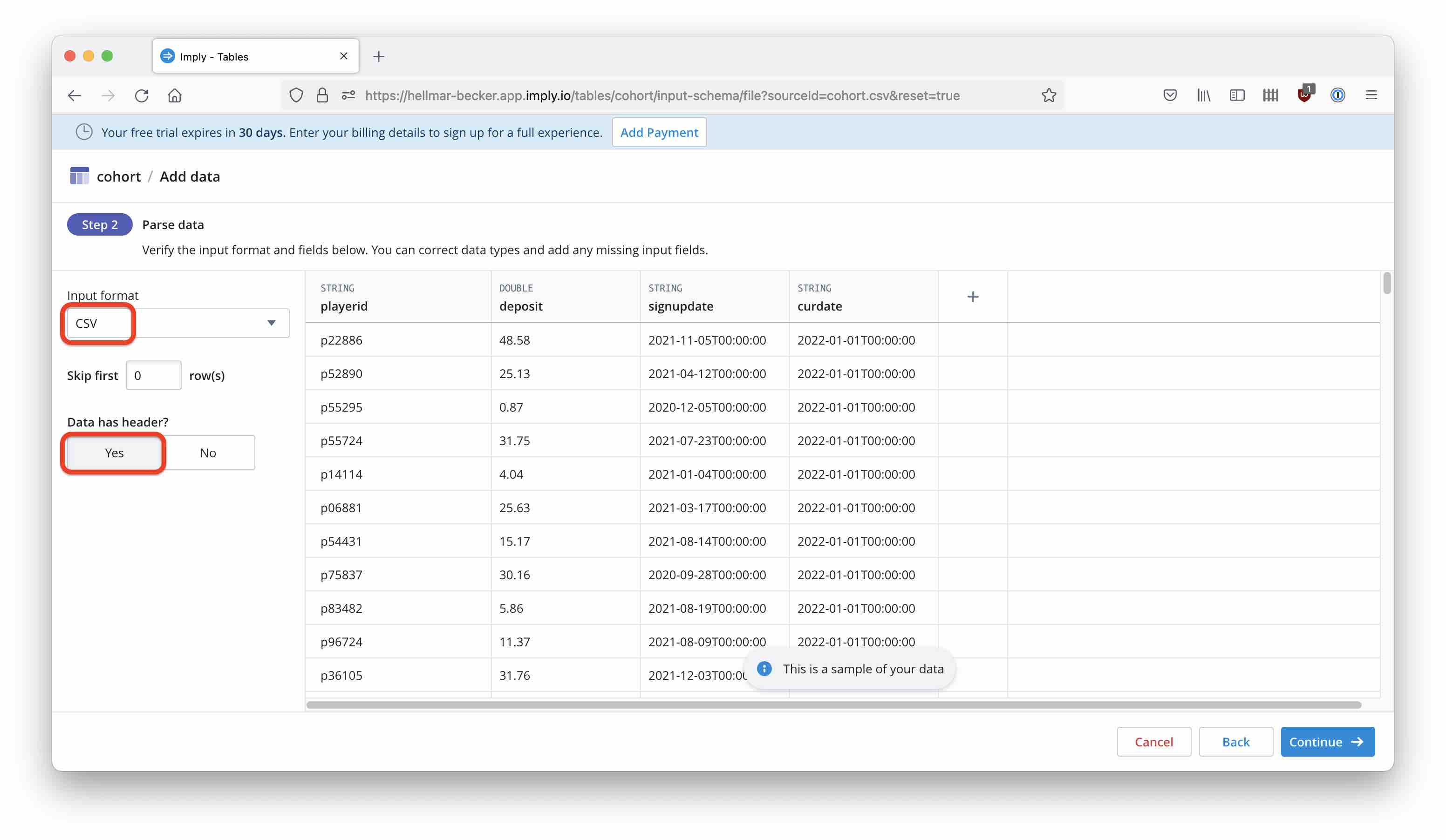 CSV parser settings